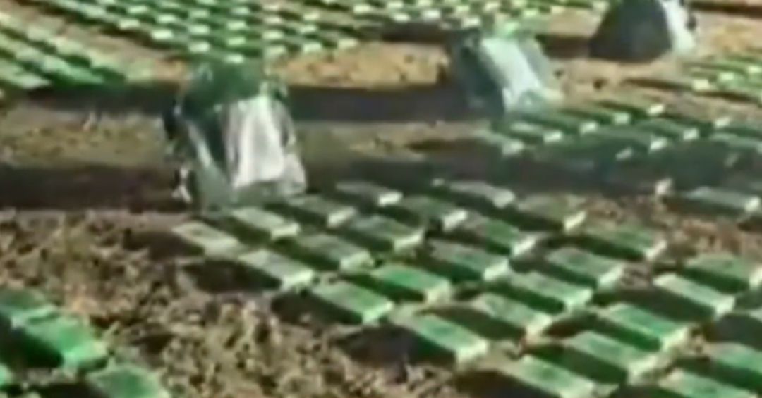 EE.UU investiga red aérea que trafica cocaína hacia México y Guatemala