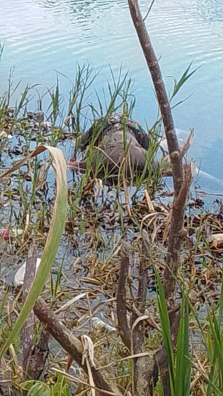 Encuentran cadáver en estado de descomposición en río de Nagua