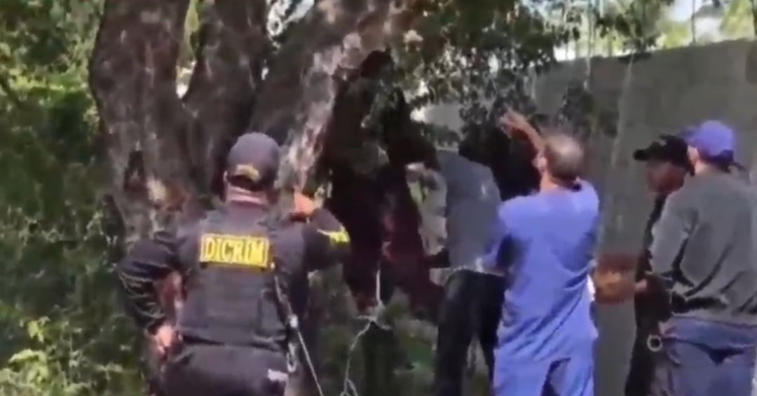 Hallan sin vida a adulto mayor de 64 años en Villa Hermosa