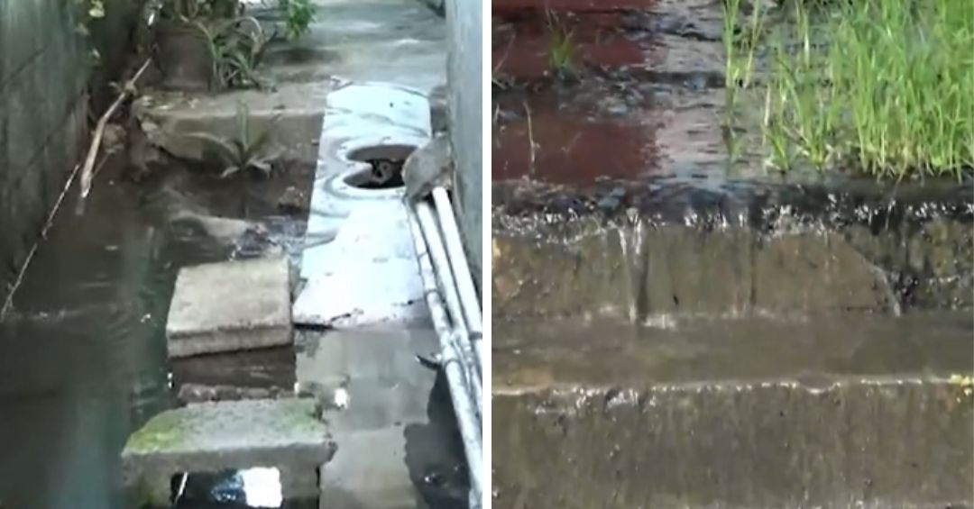 Barrio Nuevo de Caballona sufre por cañadas con aguas contaminadas