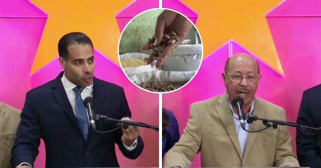 PLD califica medidas de Abinader como “reactivas” y exige recorte al gasto público