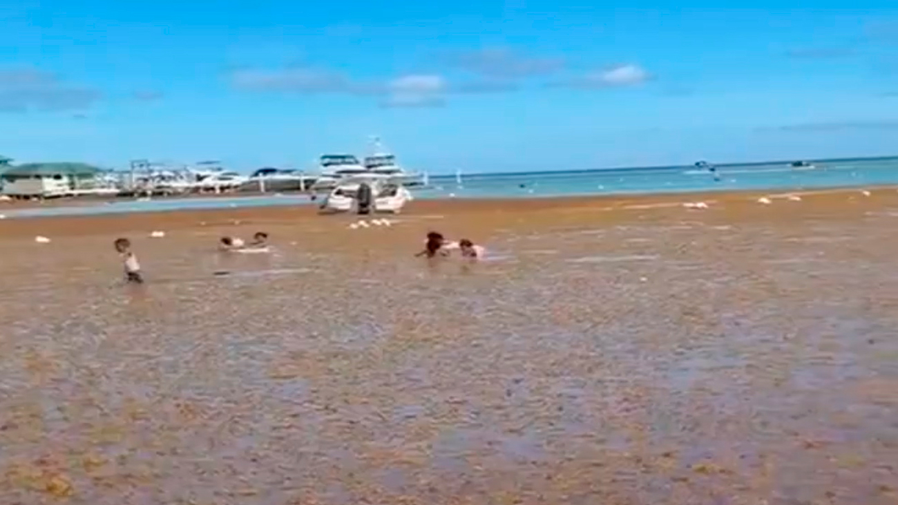 Bañistas disfrutan de Boca Chica pese a la presencia de sargazo