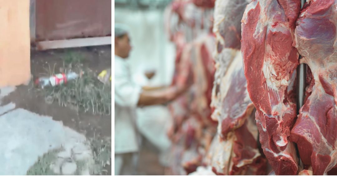 Vecinos denuncian contaminación en sector de Villa Mella por desechos de carnicería