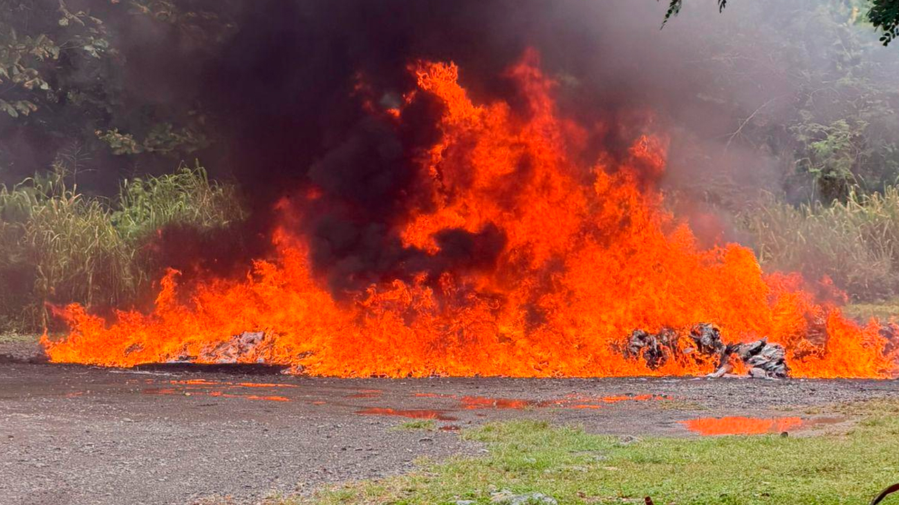 Inacif destruye más de 960 kilogramos de distintas drogas