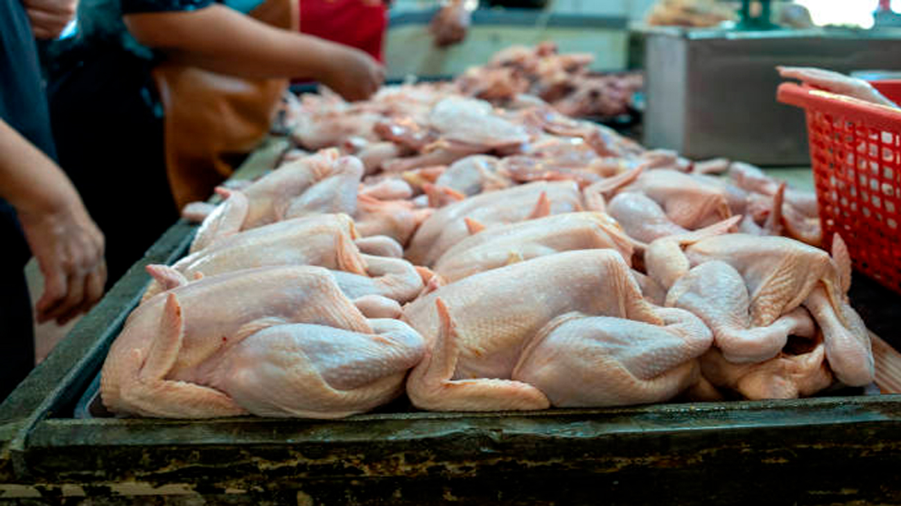 Pollo costará entre 60 y 65 pesos en los próximos días