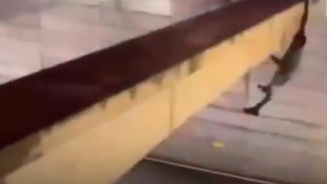 Captan a hombre mientras caía en paso a desnivel d