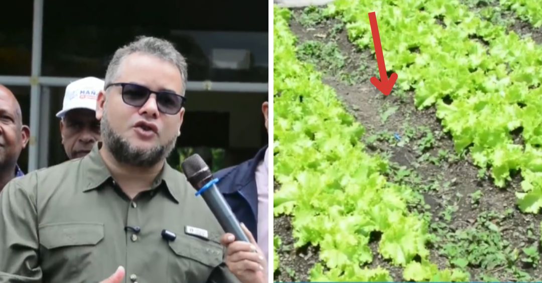 San José de Ocoa: FEDA impulsará agroindustria y agroturismo