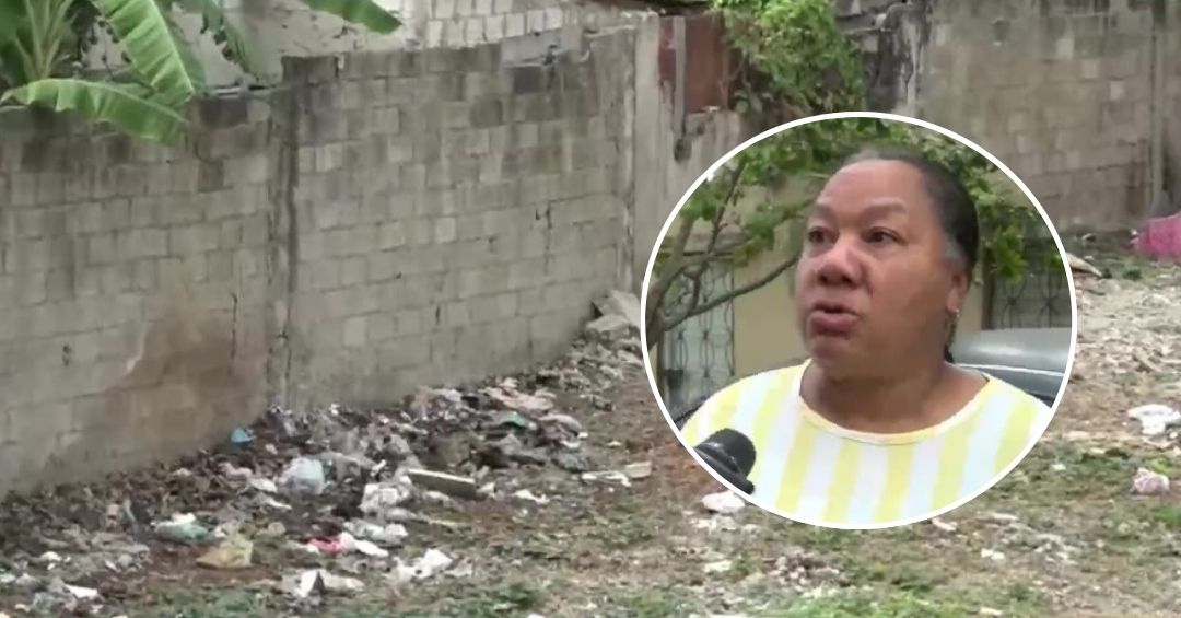 Vecinos denuncian intento de derribar pared en Los
